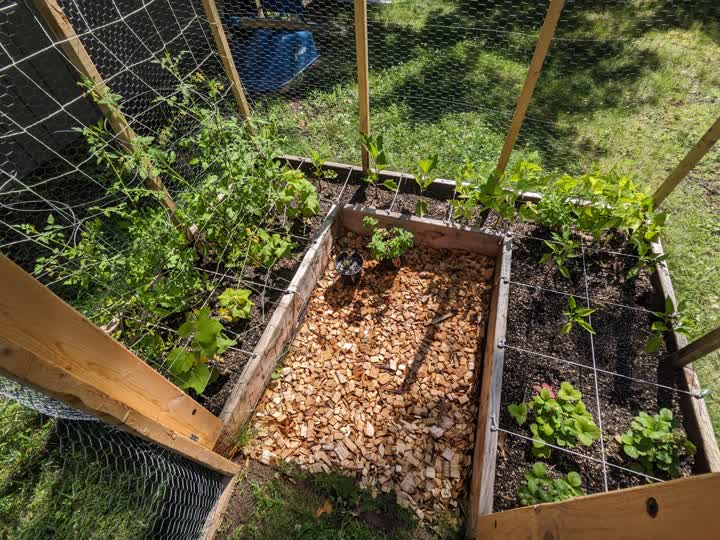 Planting day